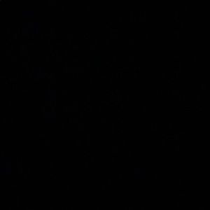 Meet your Posher, Yoo